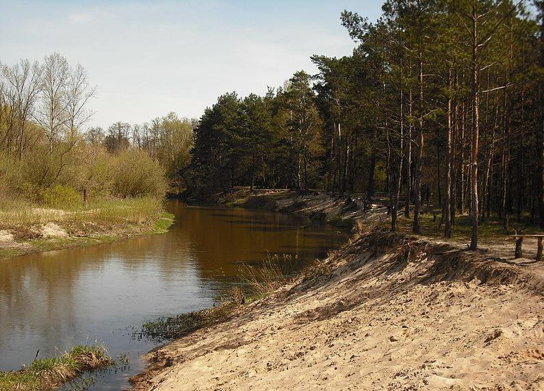 Chatka Nad Swidrem Mladz Exteriér fotografie