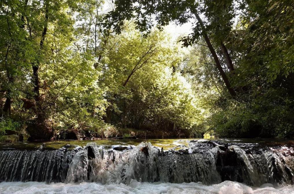 Chatka Nad Swidrem Mladz Exteriér fotografie