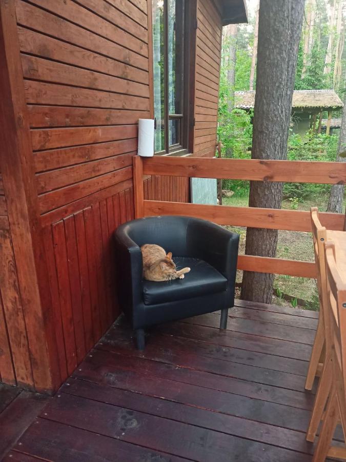Chatka Nad Swidrem Mladz Exteriér fotografie